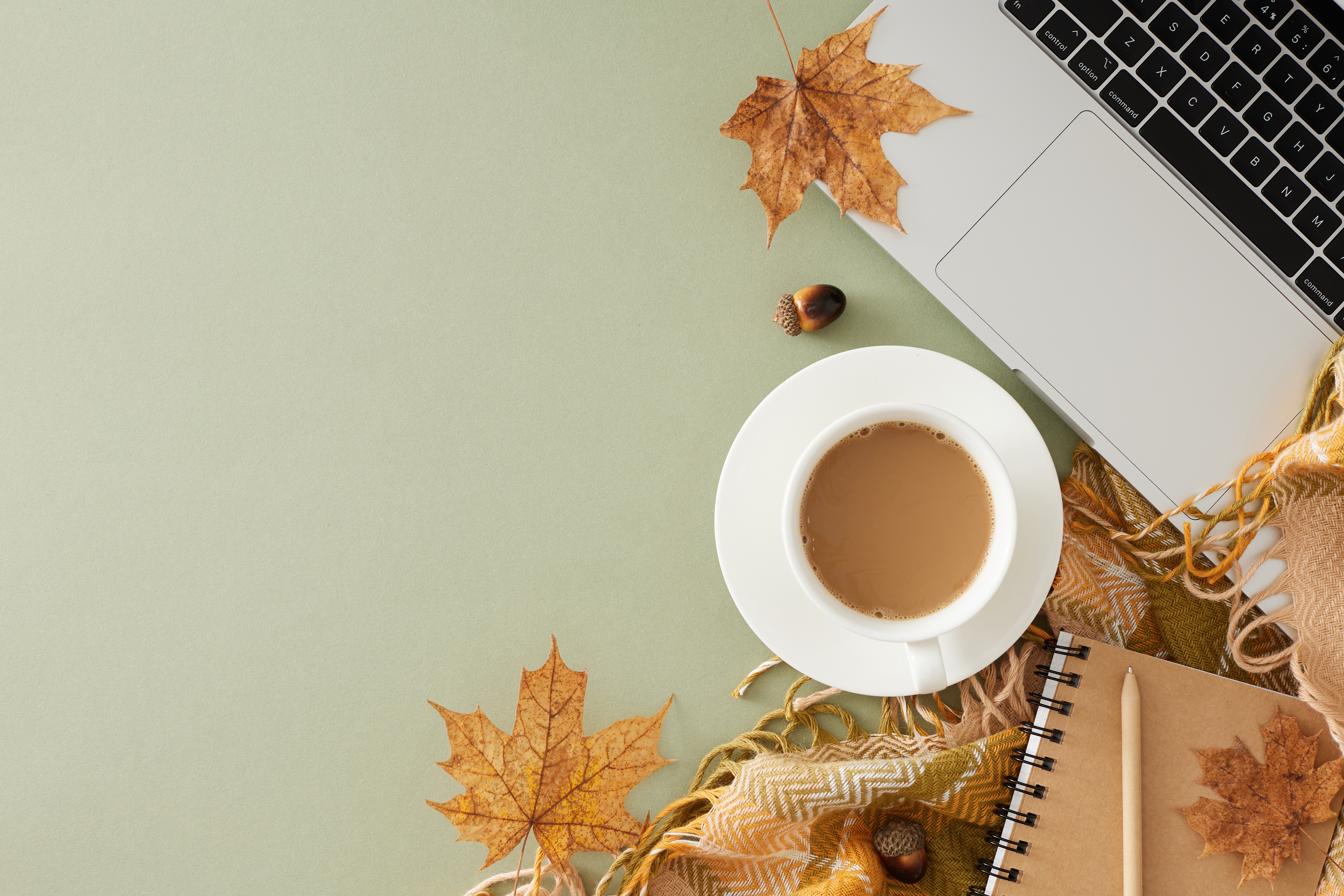 Fall Technology